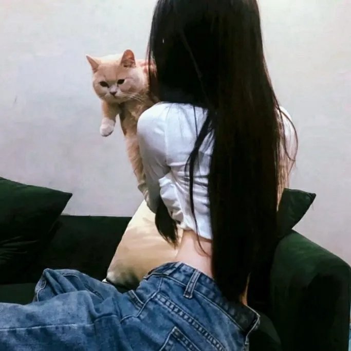 好莱坞十君子